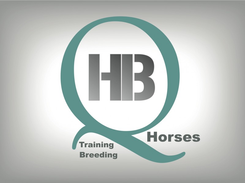 HB Quarter Horses