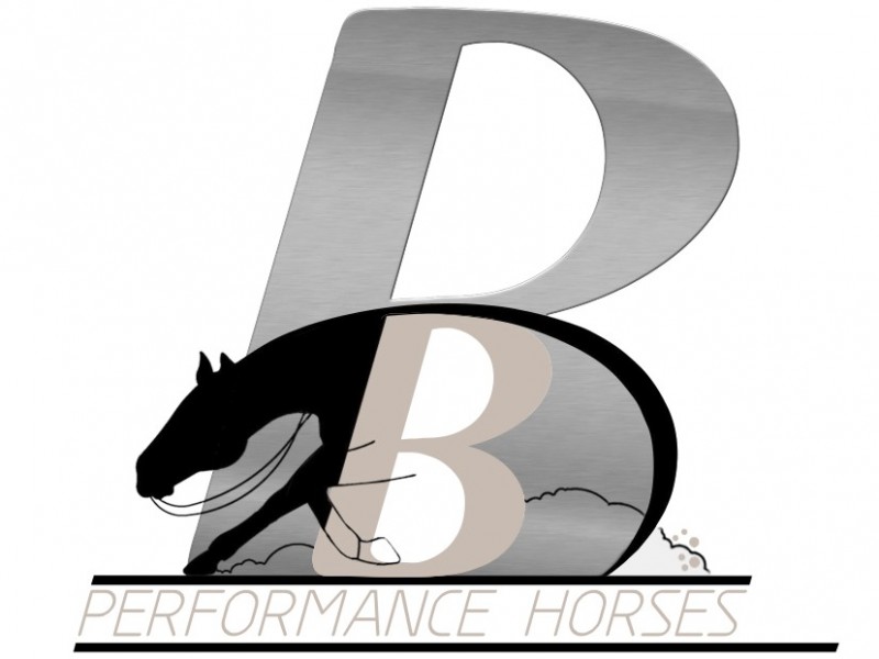 Bernd Bühler Performance Horses